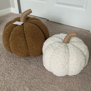 Pottery Barn Cozy Pumpkin Pillows in Ivory & Tobacco